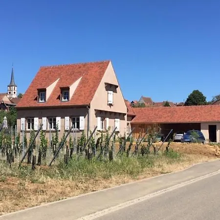 La Cle Du Vignoble * Mittelbergheim